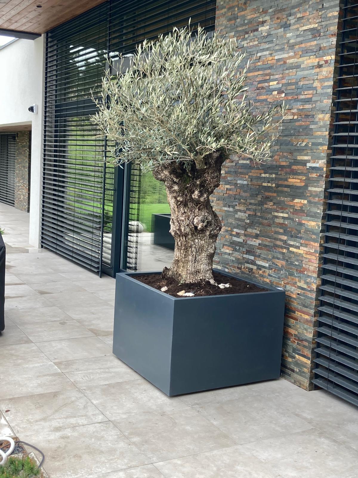 Anytime s.r.o. foto 4