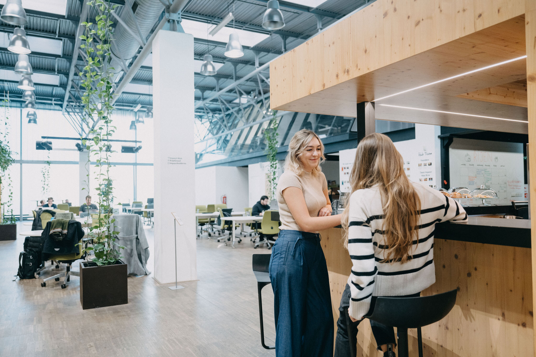 Impact Hub Brno foto 6