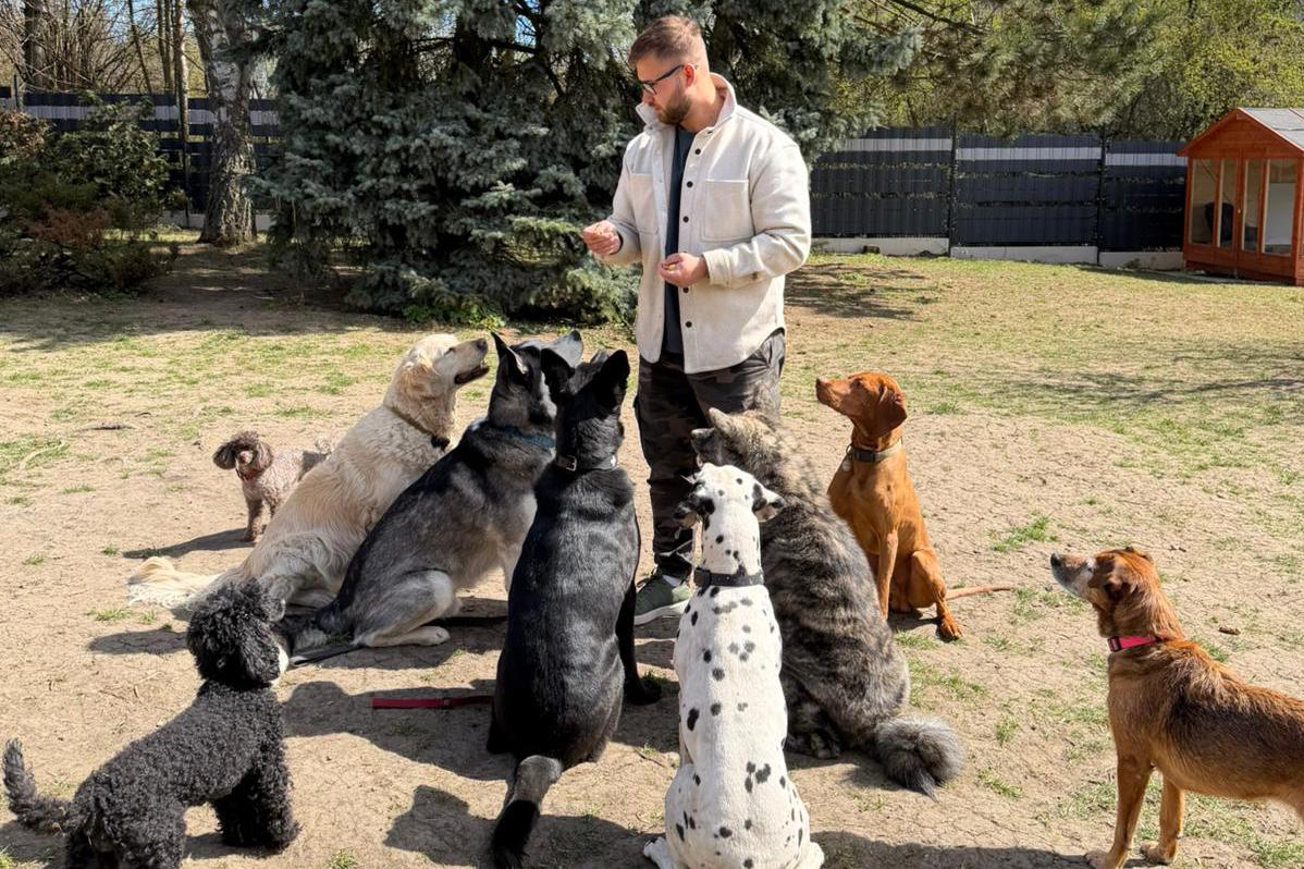 Přijímáme nové pejsky na psí školku.