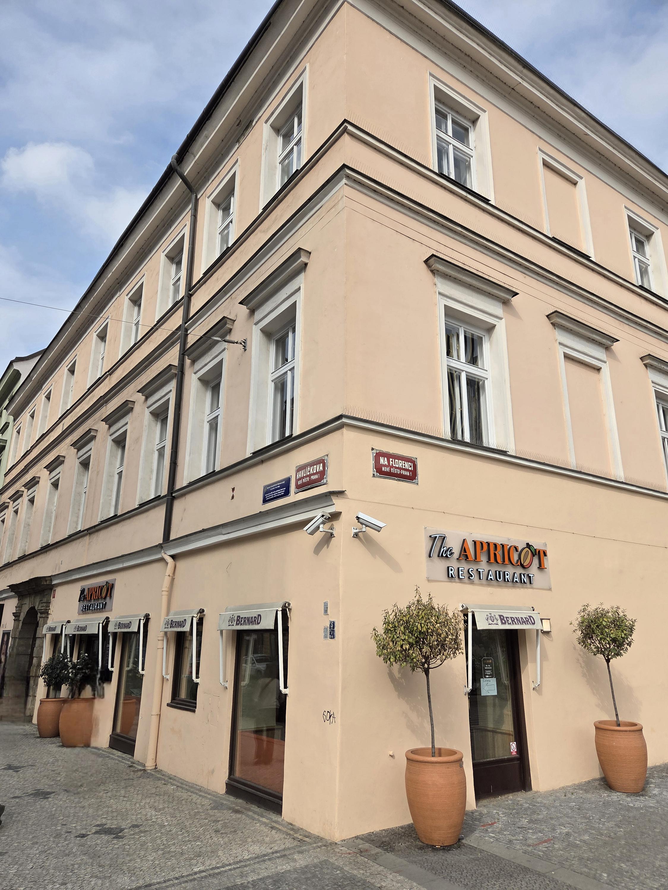 The Apricot restaurant foto 3