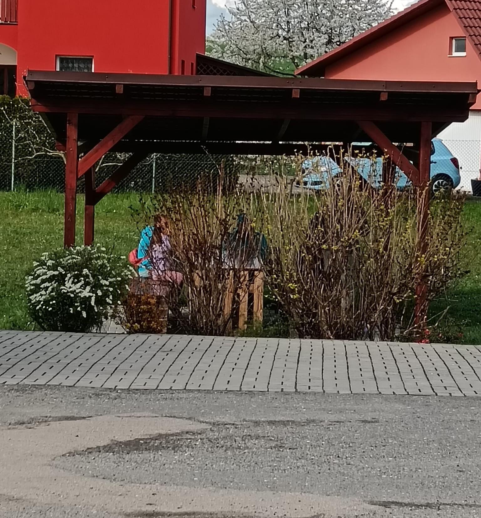 Zmrzlina Olbramovice, STS foto 2