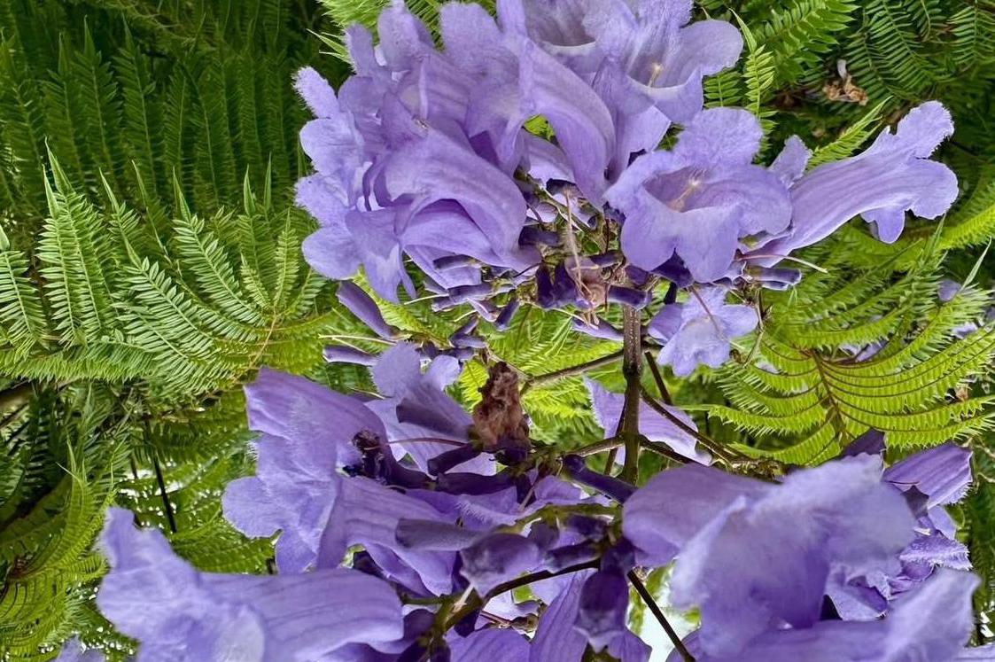 Setkání žen v ráji pod Ralskem