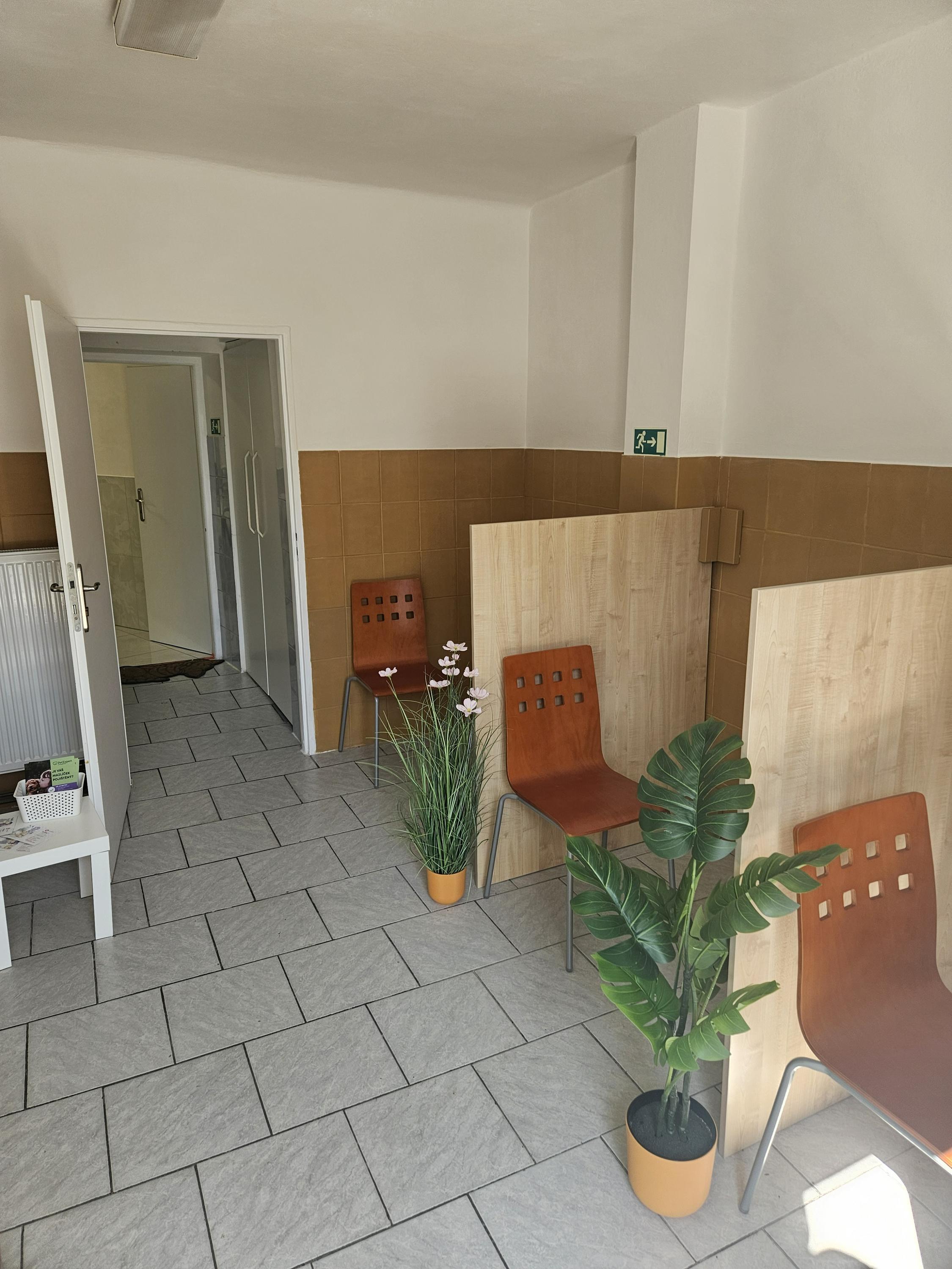 Veterina Čakovice MVDr Petra Dolejšová foto 6