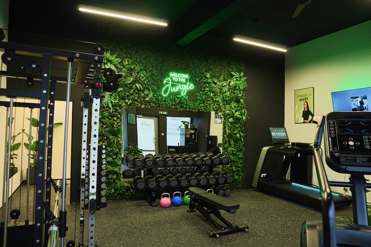 The Jungle