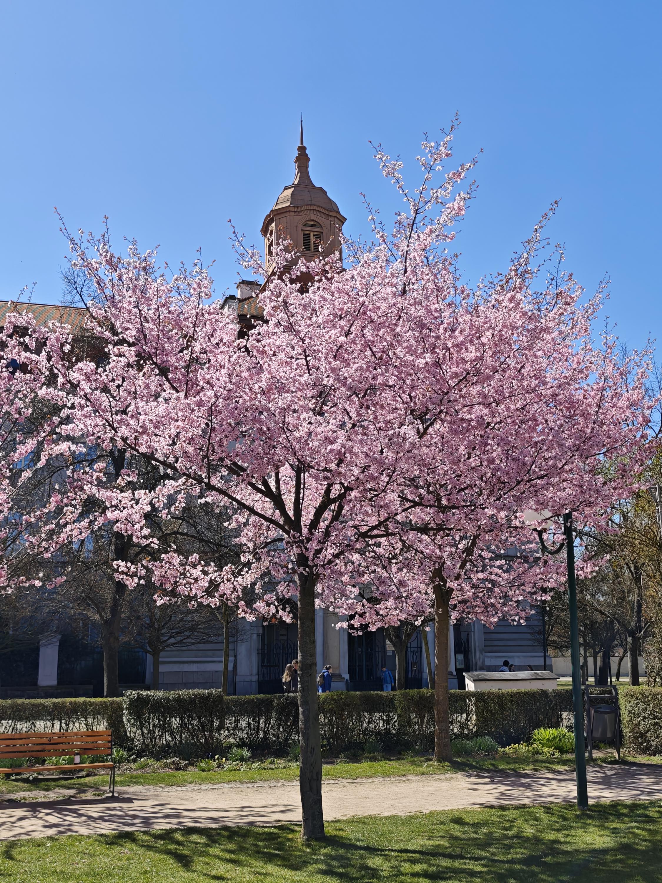 Gymnázium Plzeň, Mikulášské náměstí foto 6