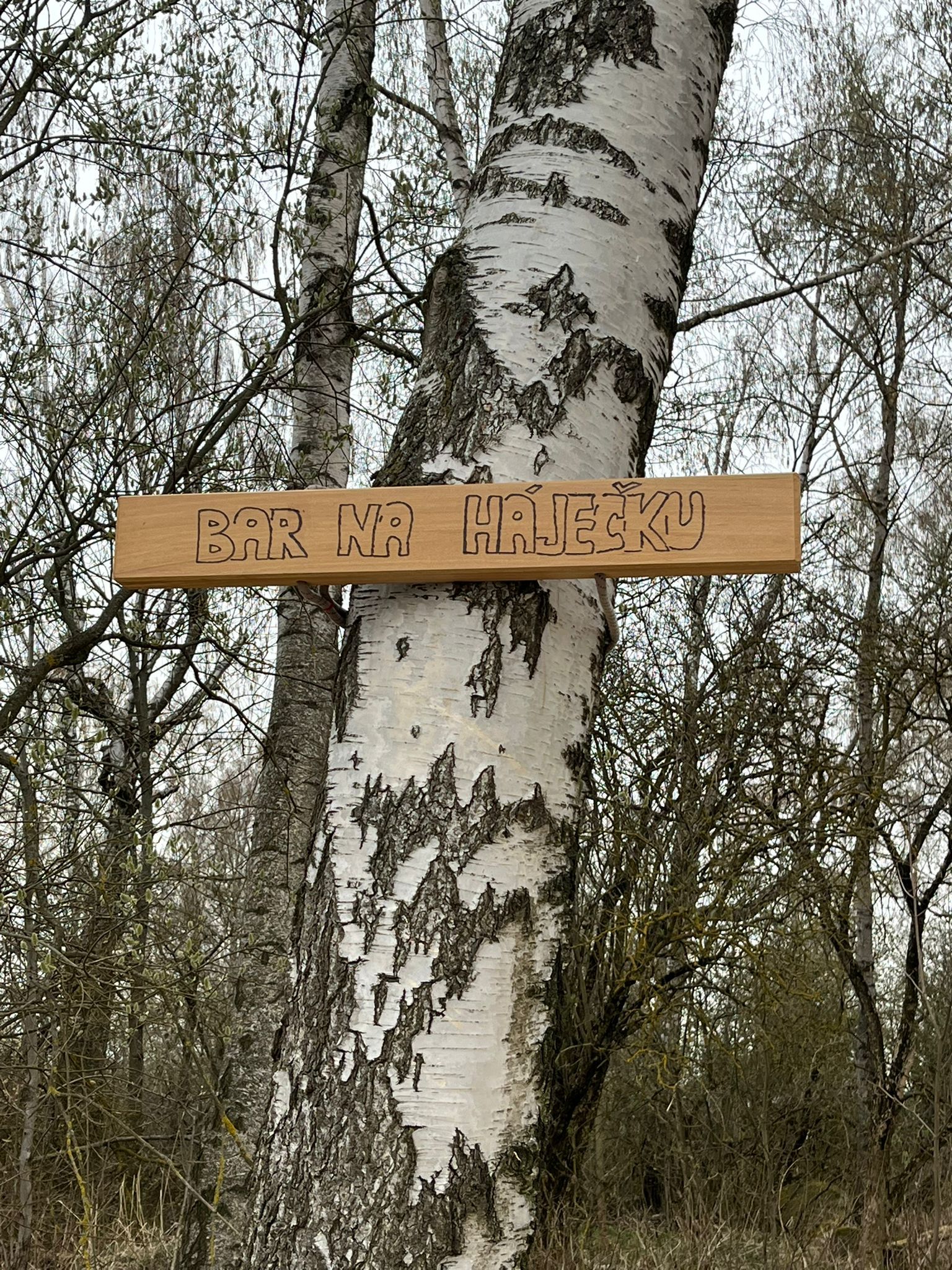 BAR NA HÁJEČKU foto 5