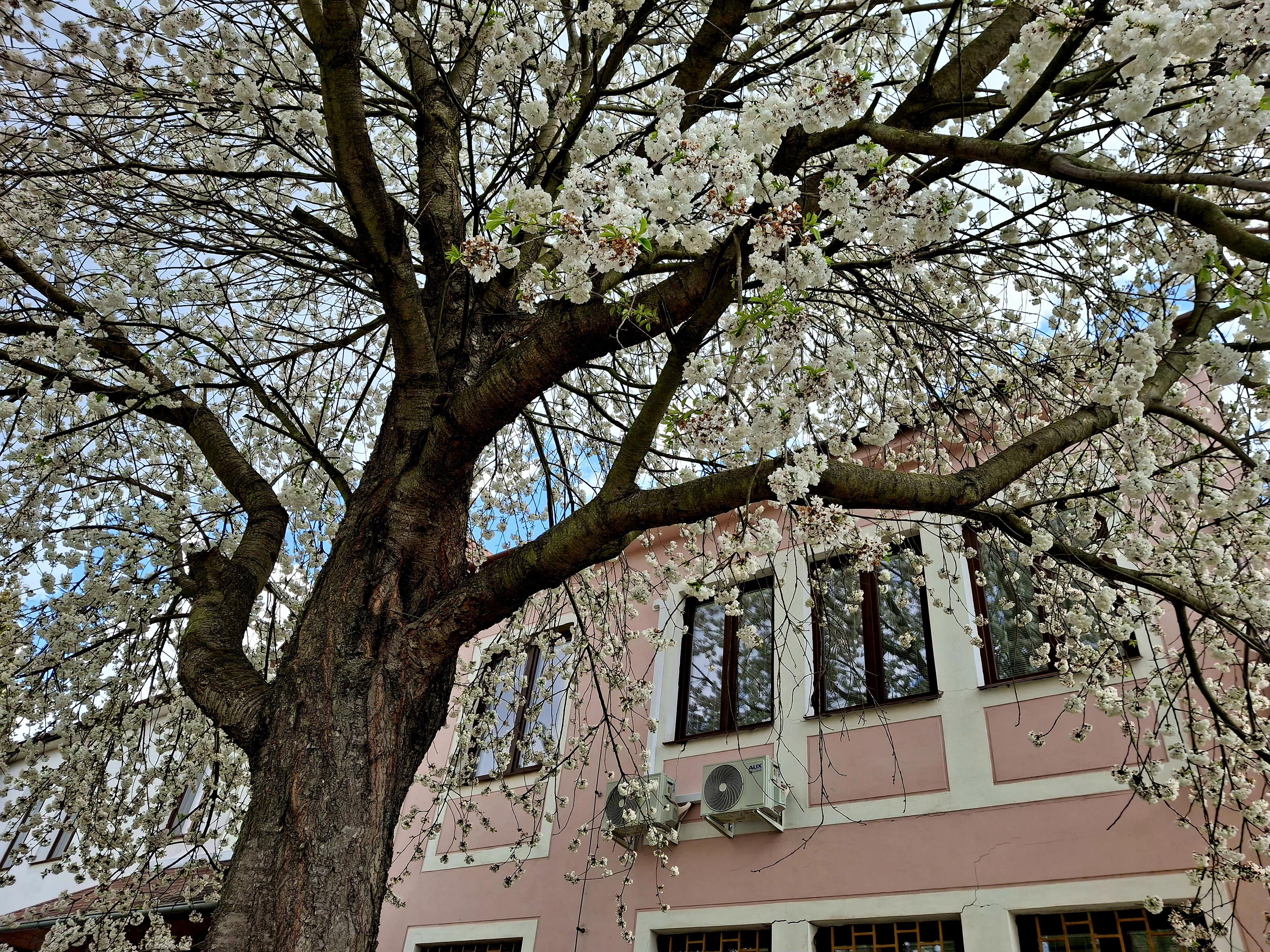 Hoštice - Heroltice - obecní úřad foto 2