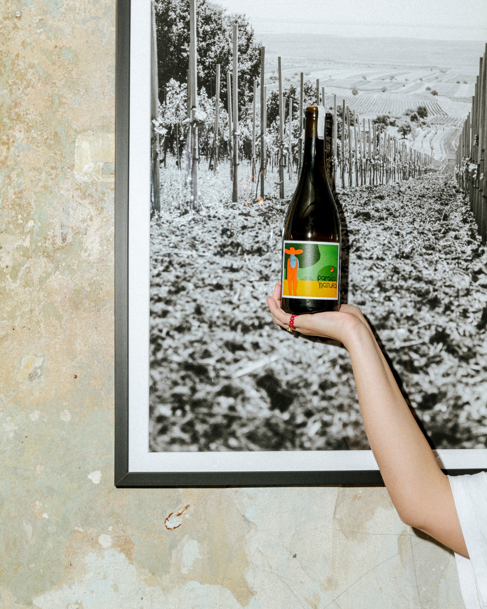 Vin de Marie foto 2