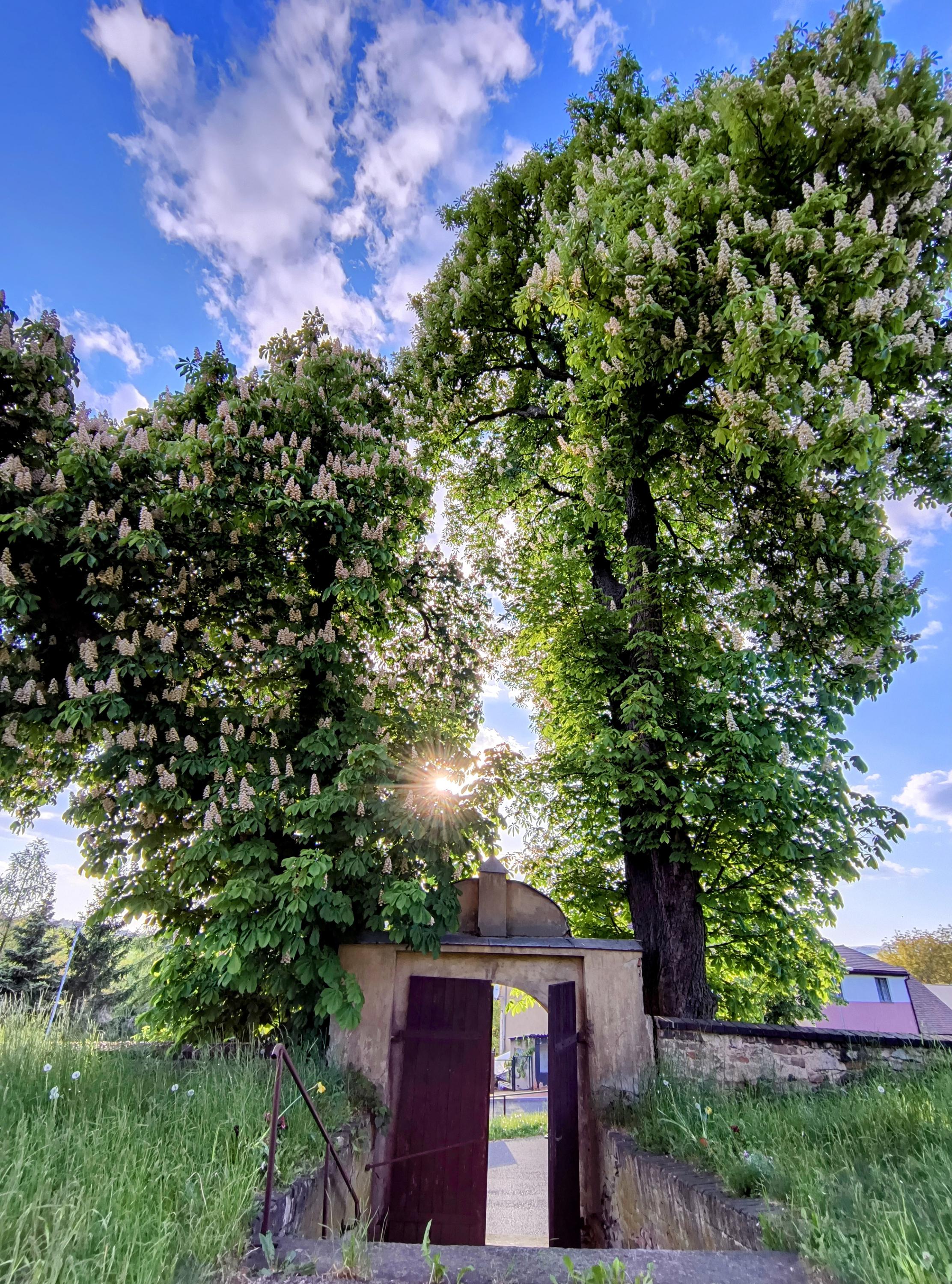 Zachraň Vavřince foto 5