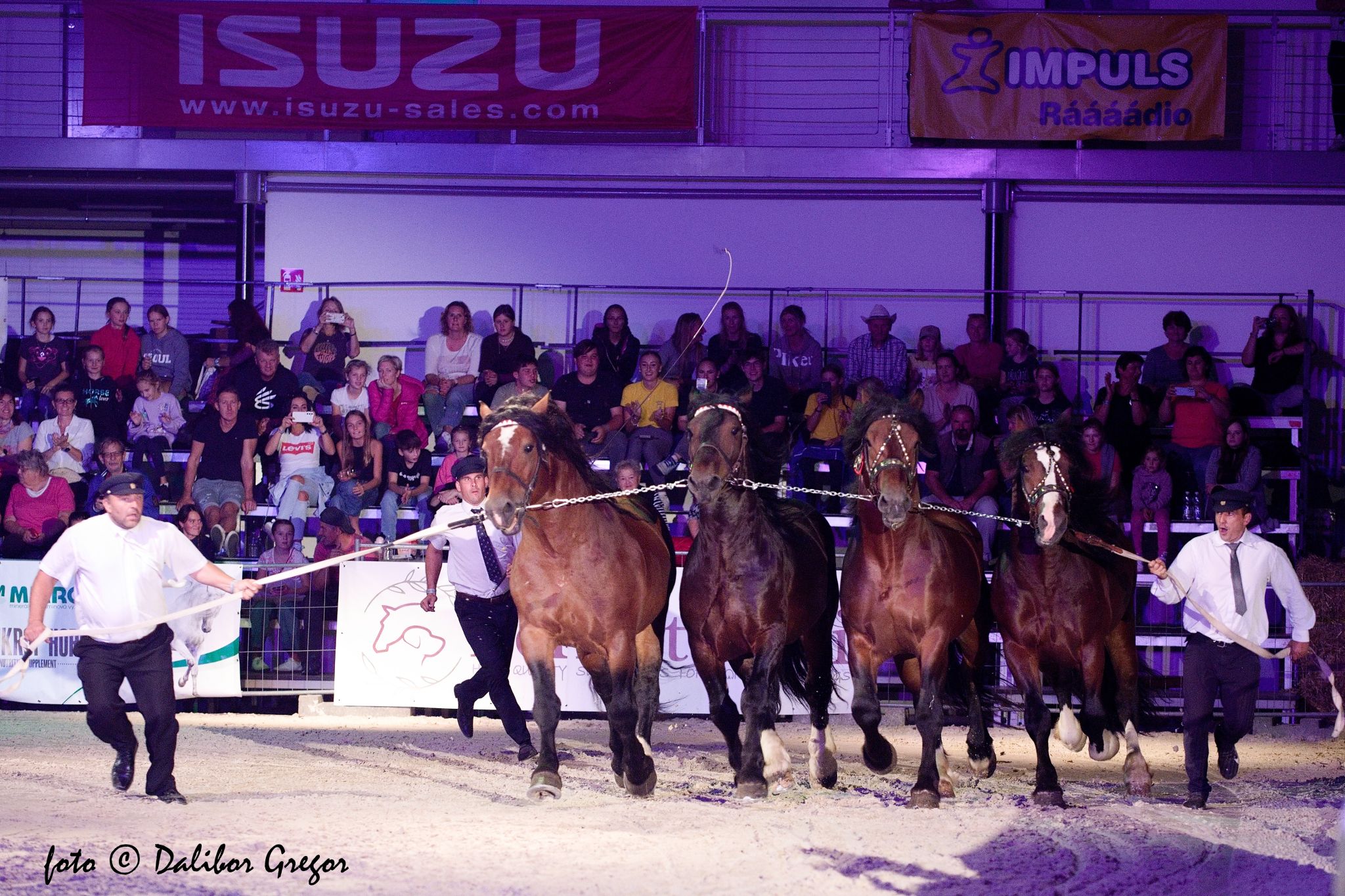 Výstaviště Lysá nad Labem spol. s.r.o. foto 3