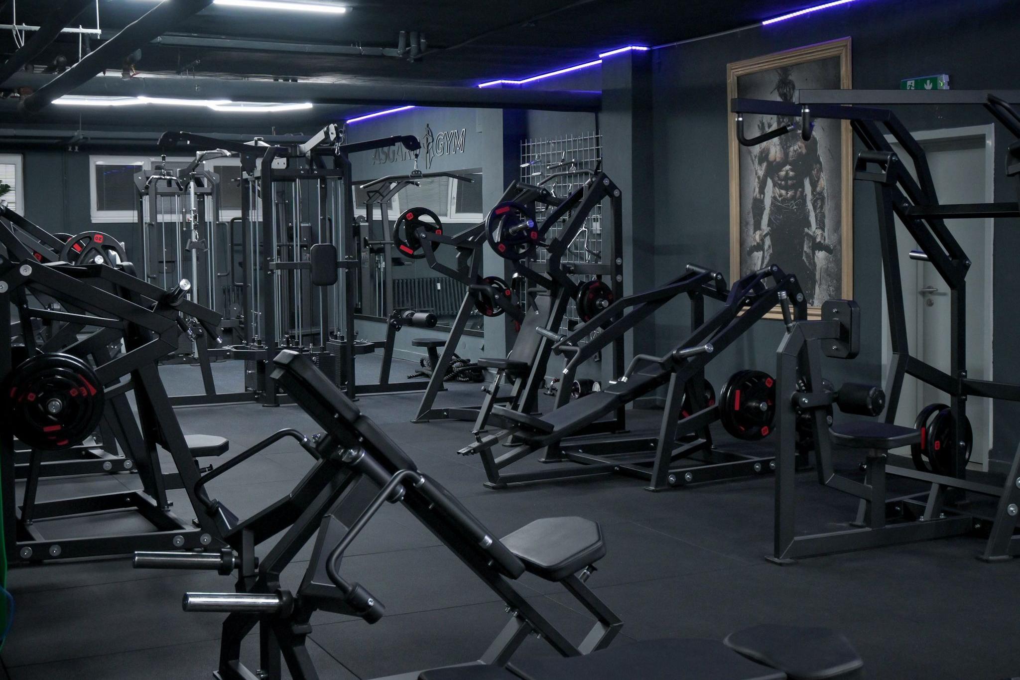 Asgard Gym