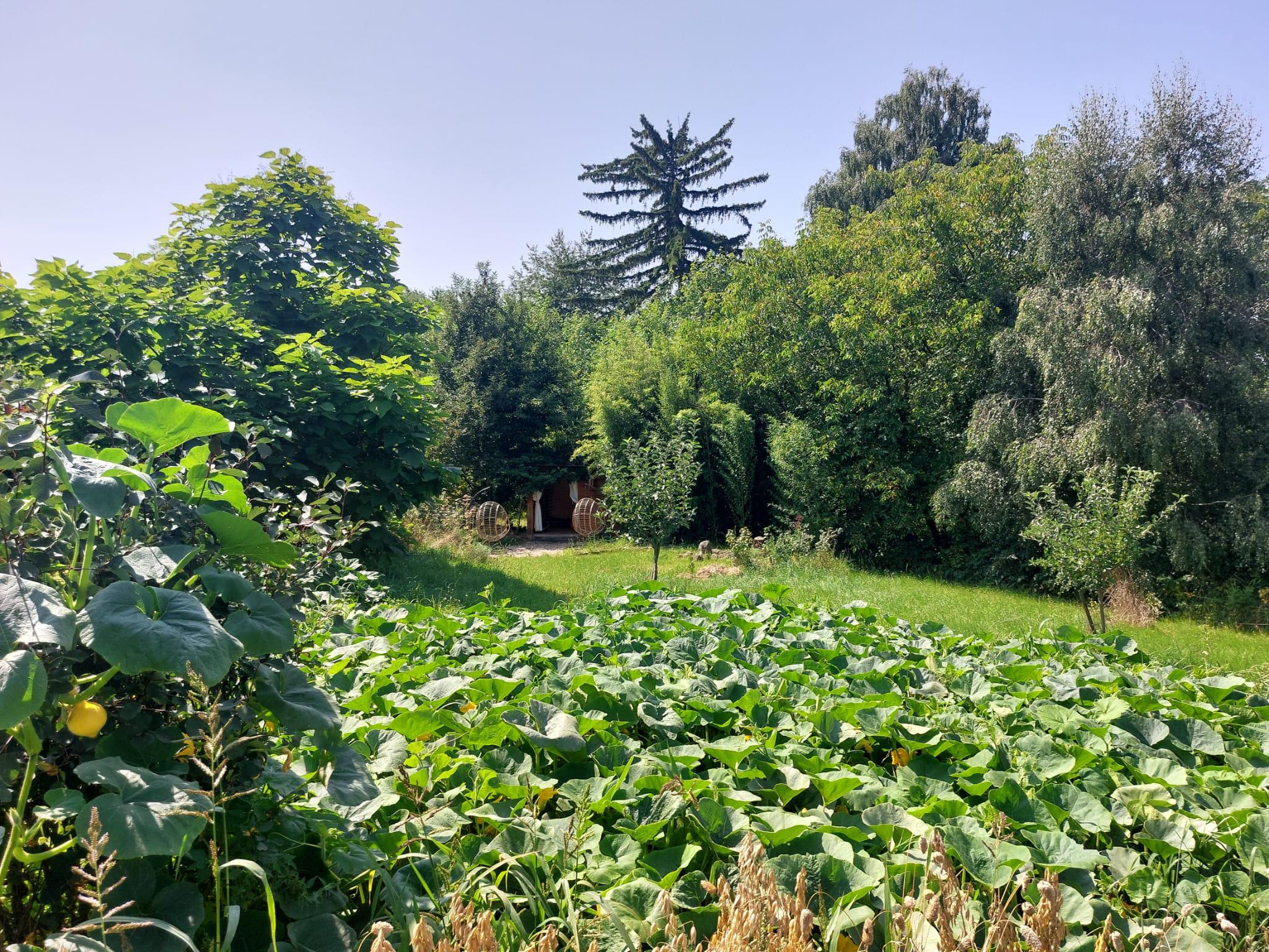 Chaloupka Na Dobrém konci foto 2