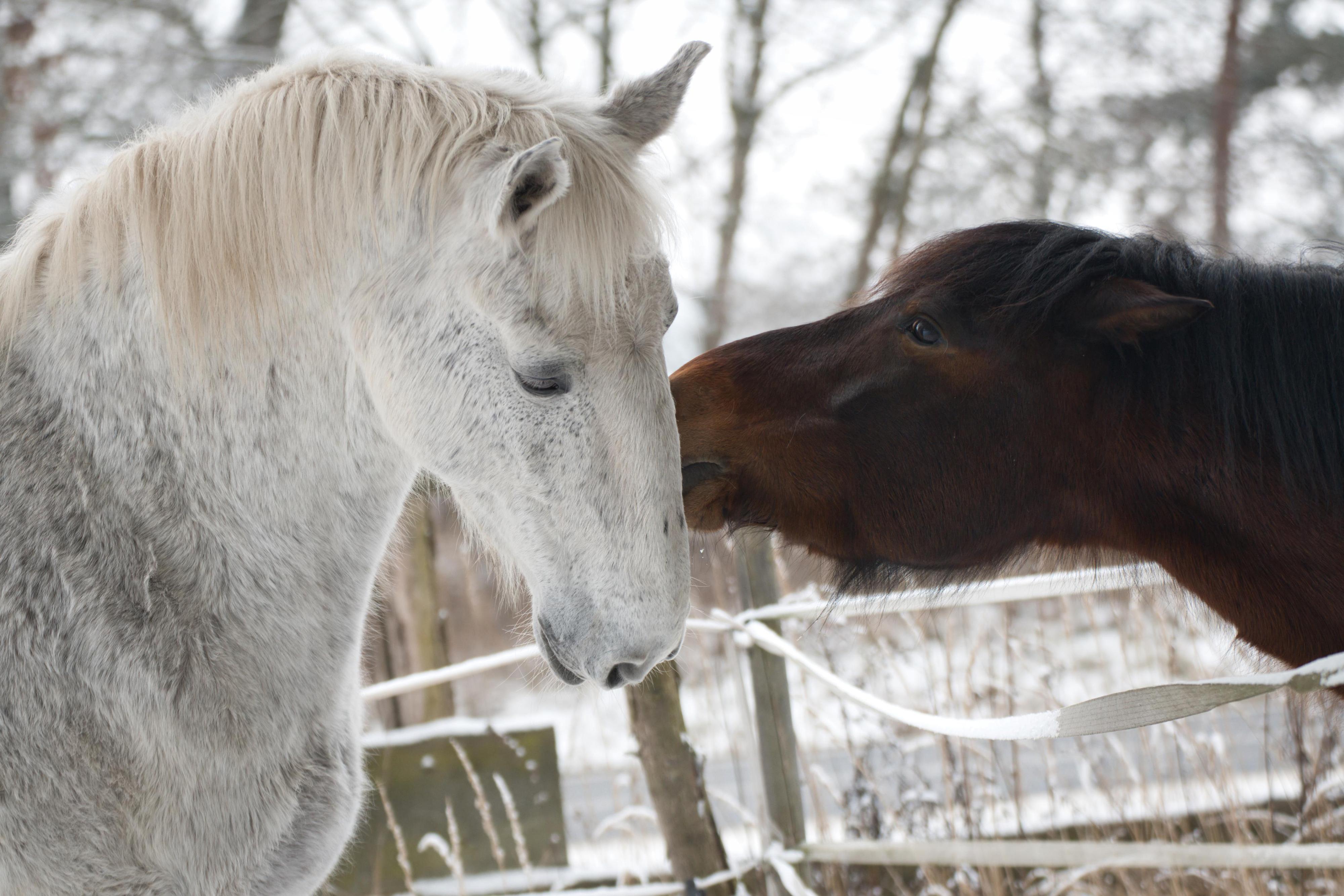 Staroboleslavský Dvůr foto 5