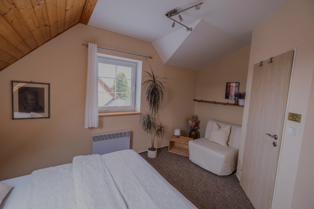 Pension Podlesí foto 6