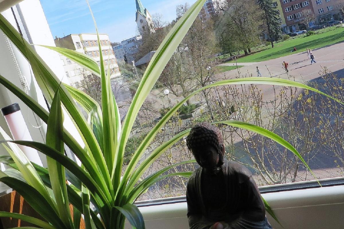 Ľudmila Larsen - masáže U Trollů foto 2