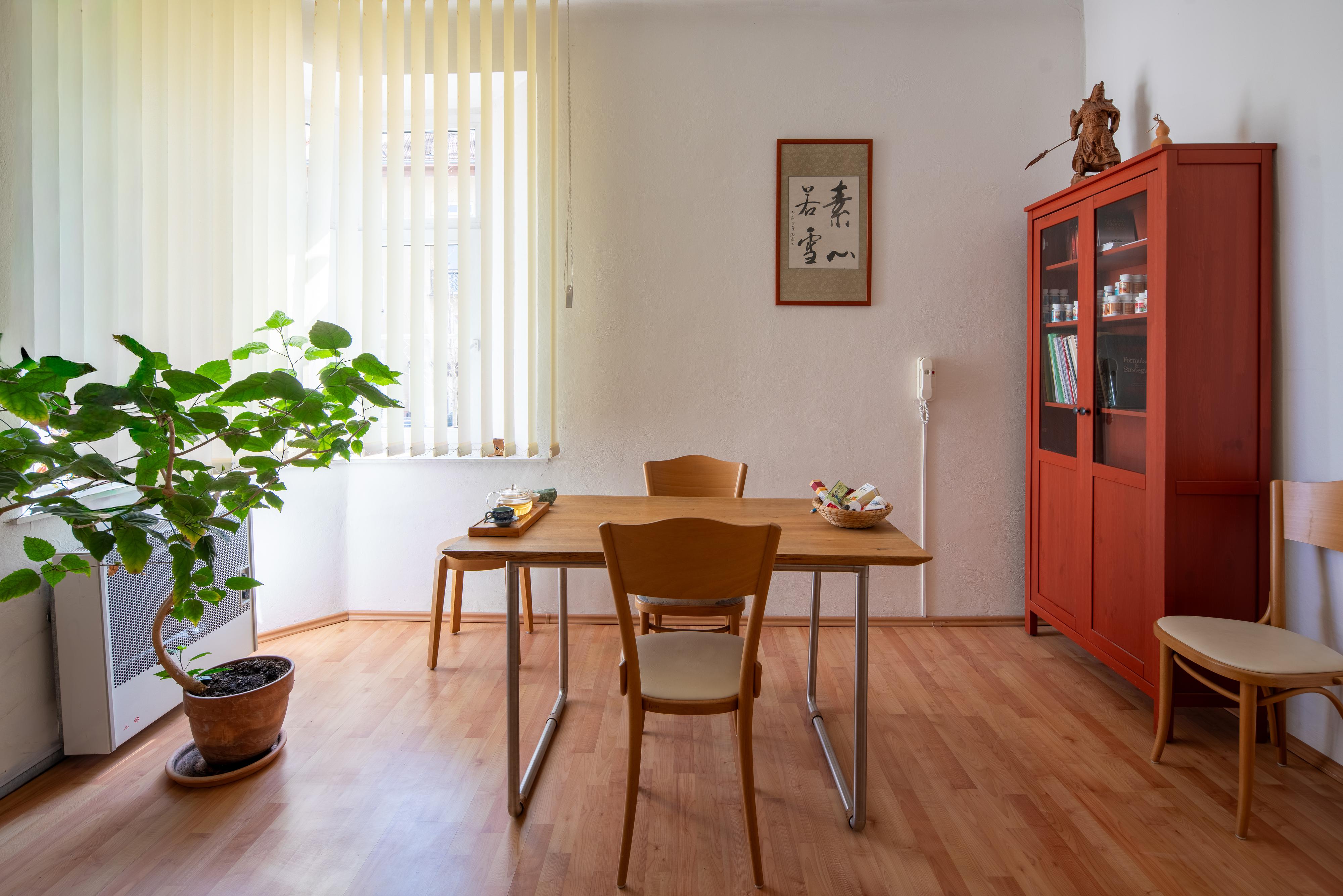 TCM QI - Tradiční čínská medicína foto 4