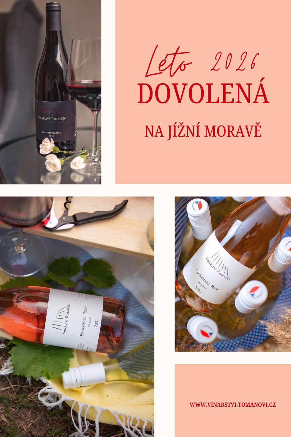Vinařství Tomanovi - penzion a vinařství foto 3