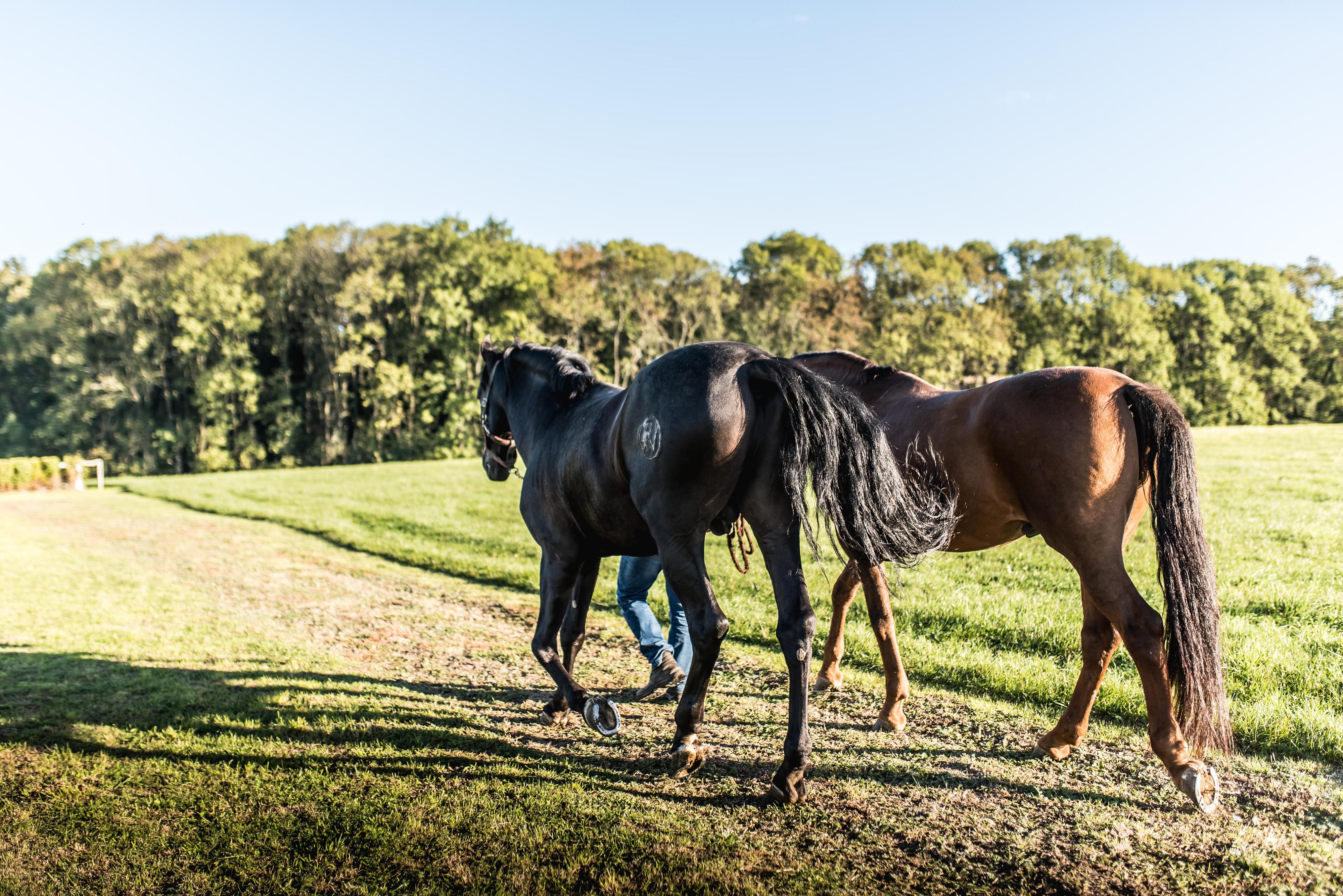 Areál Albertovec foto 2