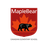 logo Maple Bear základní škola Olomouc