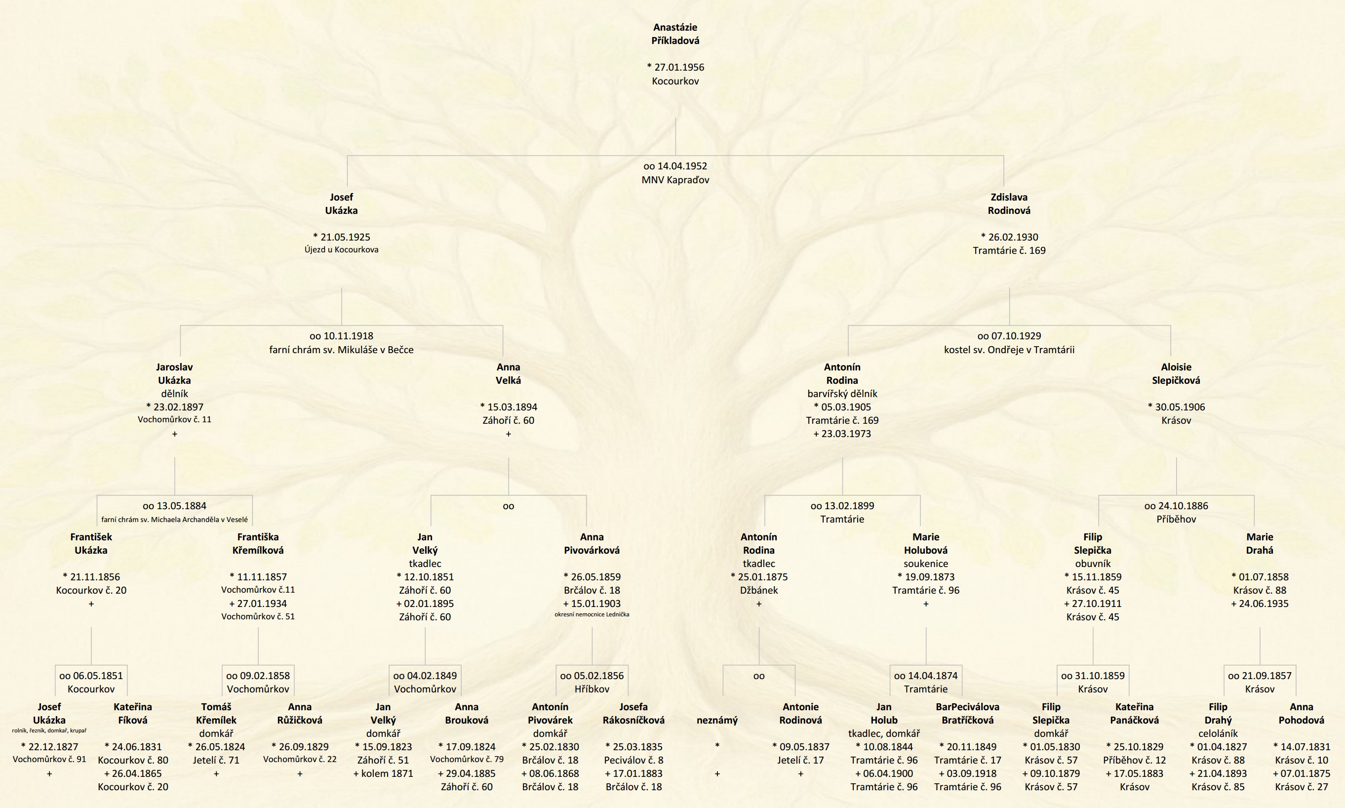 Rodinný příběh Bc. Jana Šumpíková, DiS. foto 3