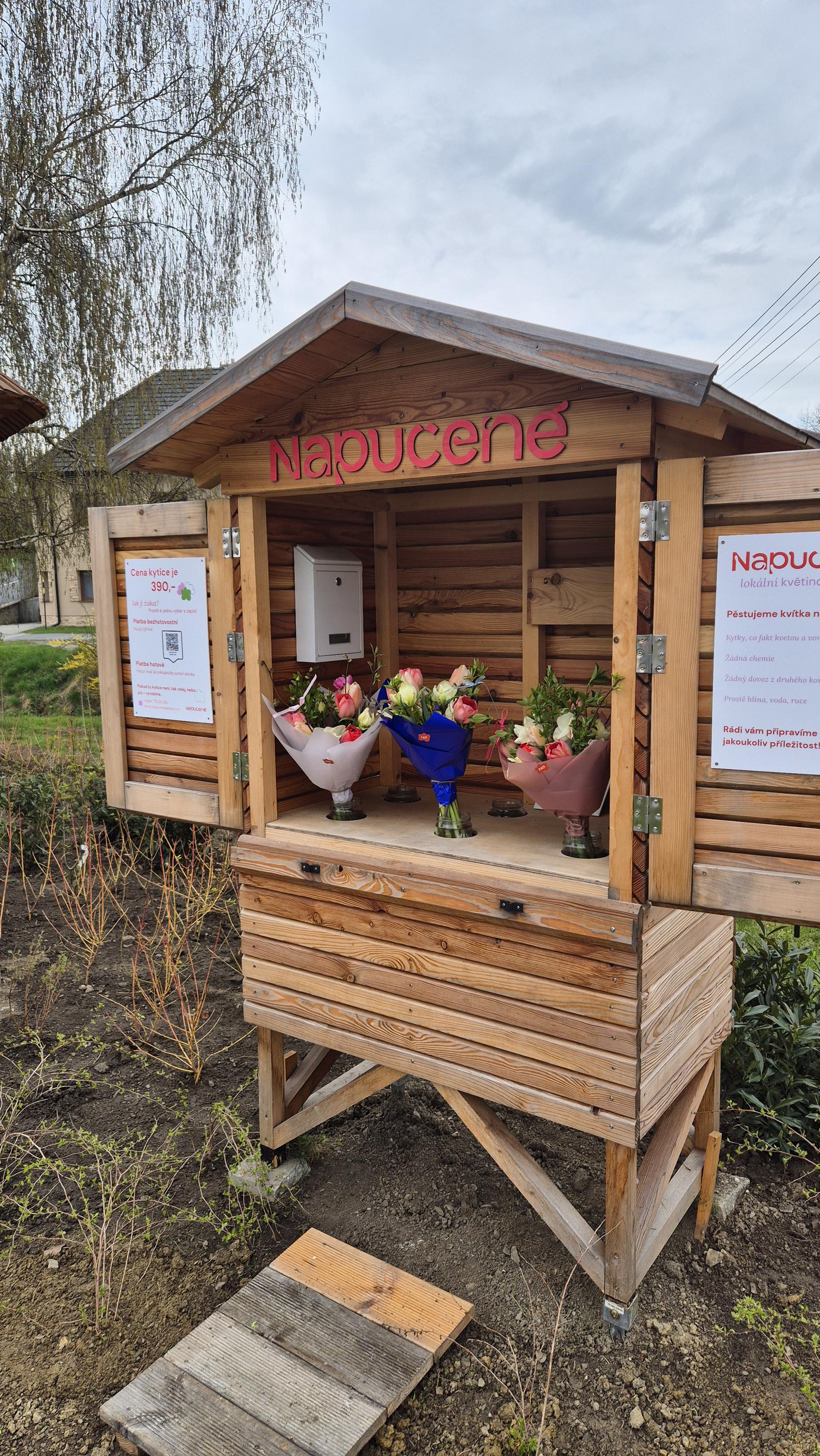 Napučené foto 6