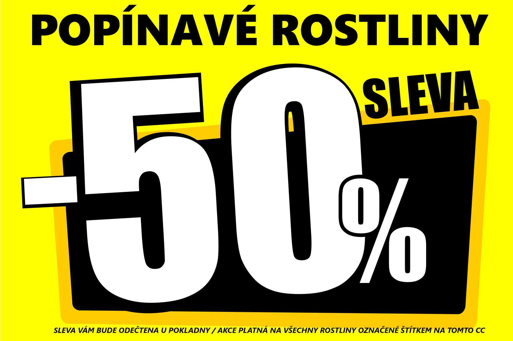 VÝPRODEJ: VYBRANÉ POPÍNAVÉ ROSTLINY  - 50%