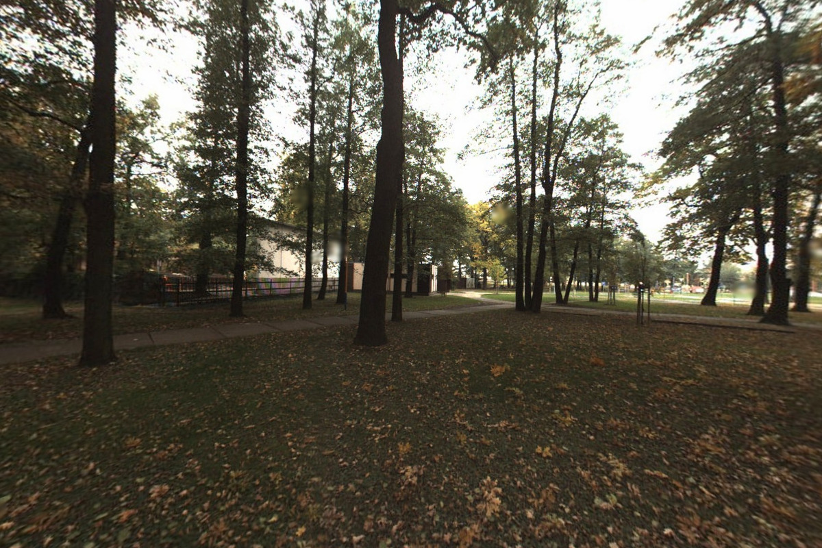 Bezva zmrzlina foto 5