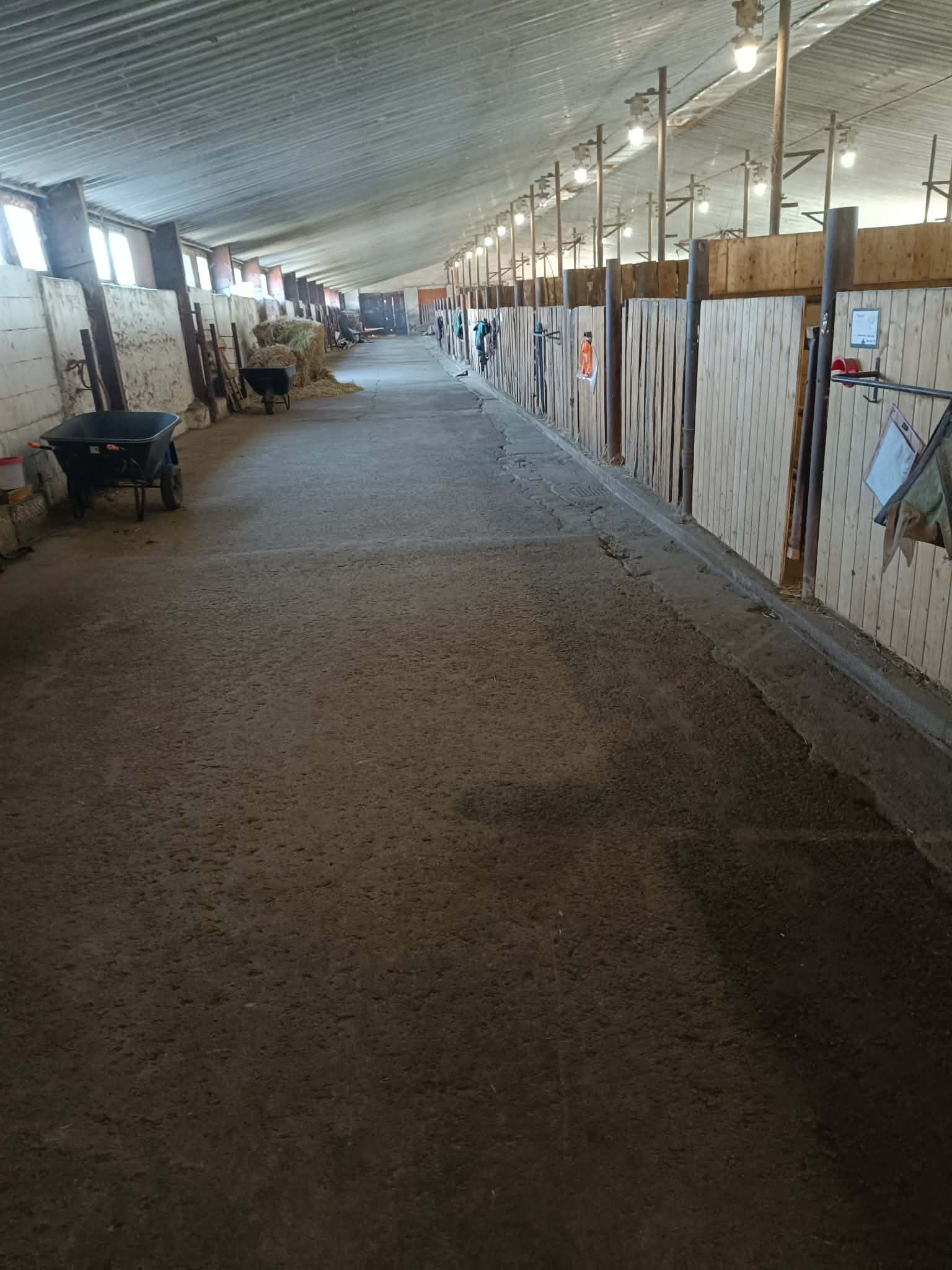 Dobrá stáj Želešice foto 4