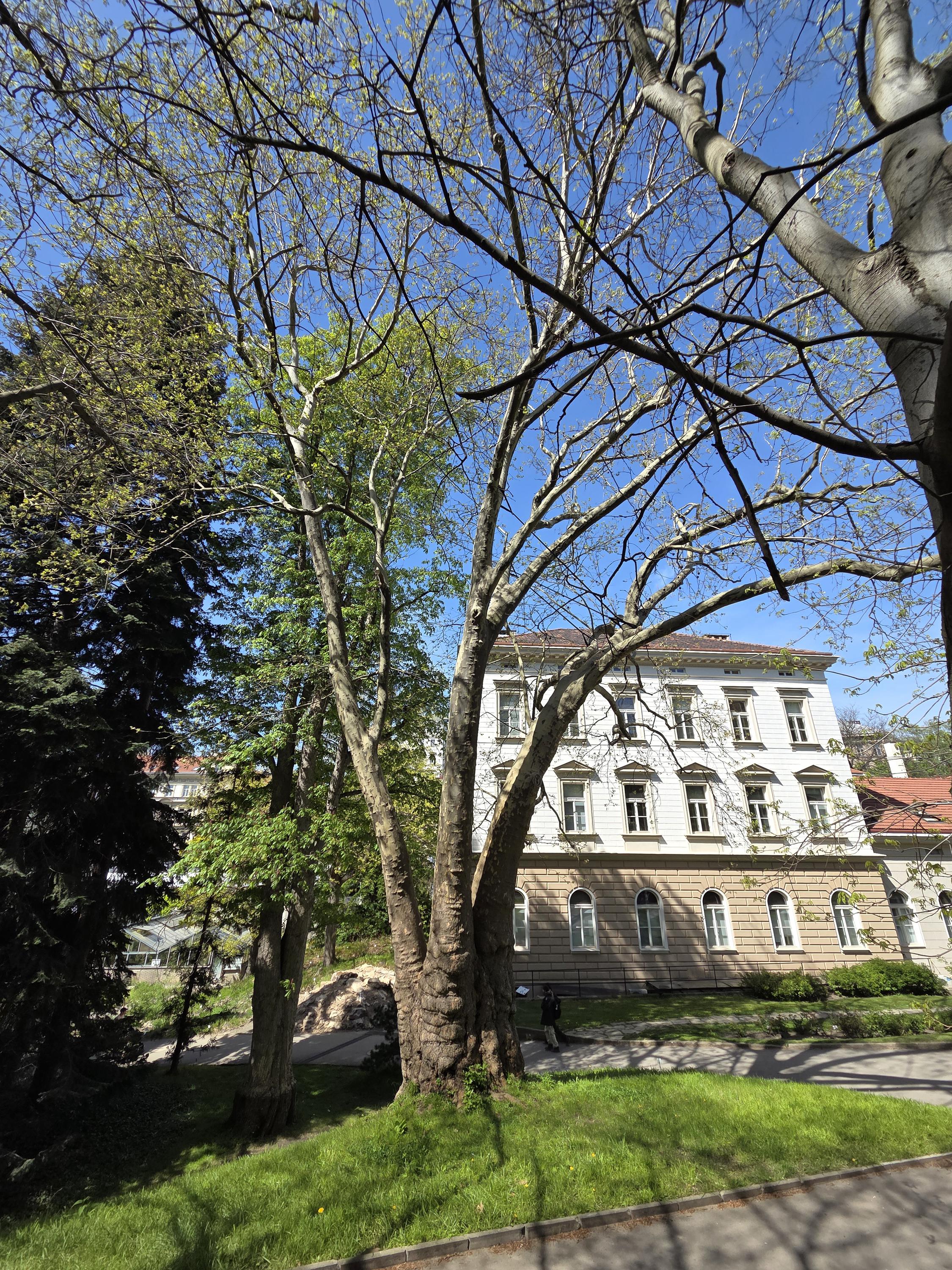 Knihovna České botanické společnosti foto 3