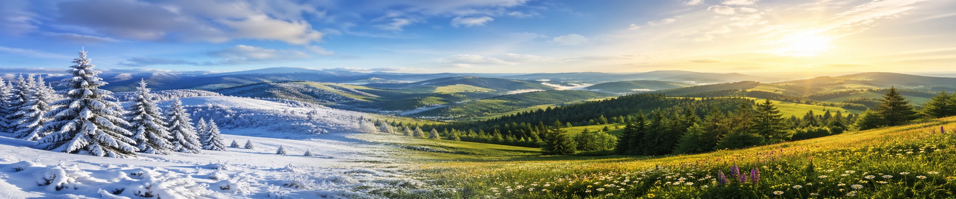 Cover image Redfoxapartments