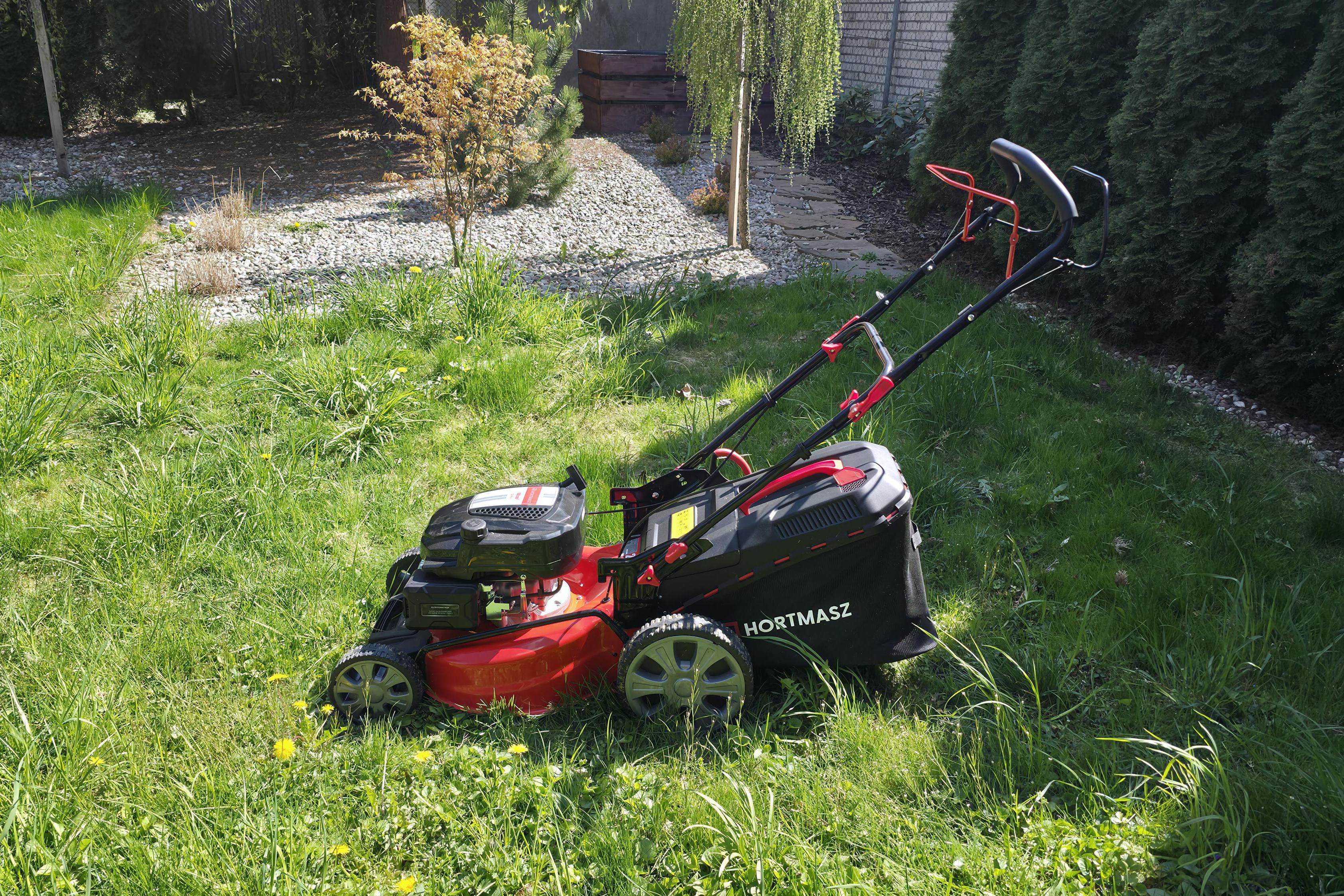 Dgarden