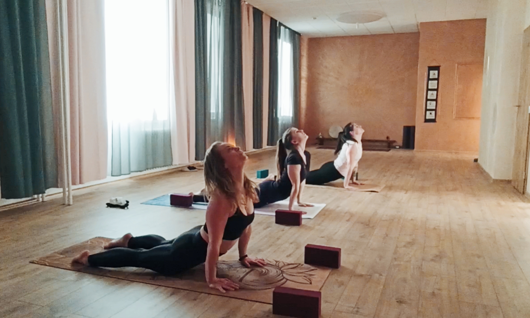 Shankara Yoga Shala foto 4