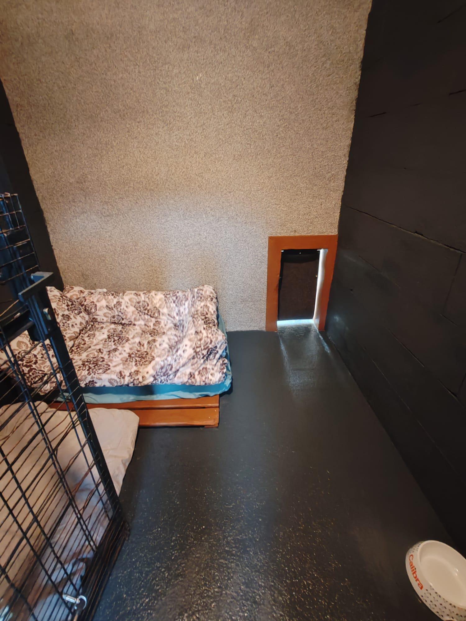 Hotel pro psy HUGO foto 3
