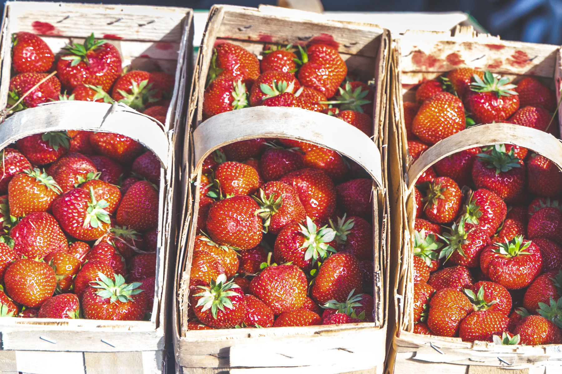 Pojizerské trhy Benátky nad Jizerou foto 2