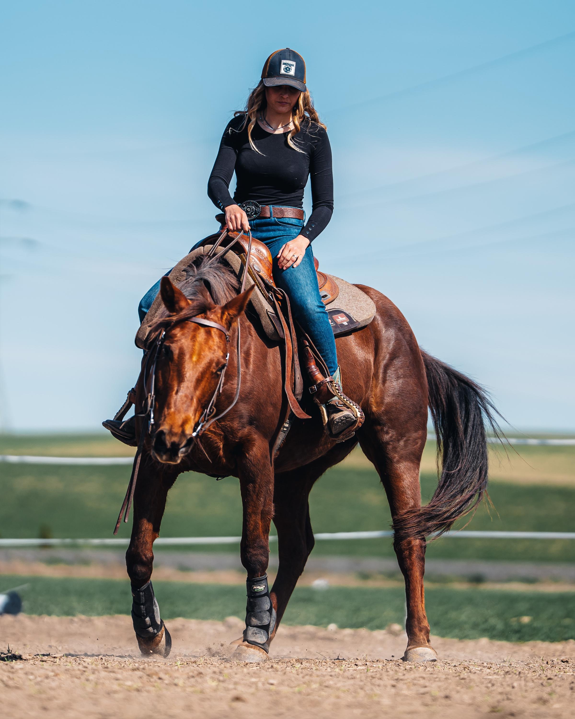 GKhorsemanship foto 2