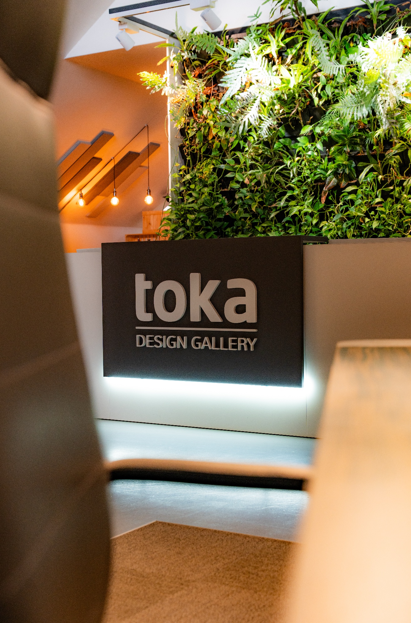 Toka foto 2