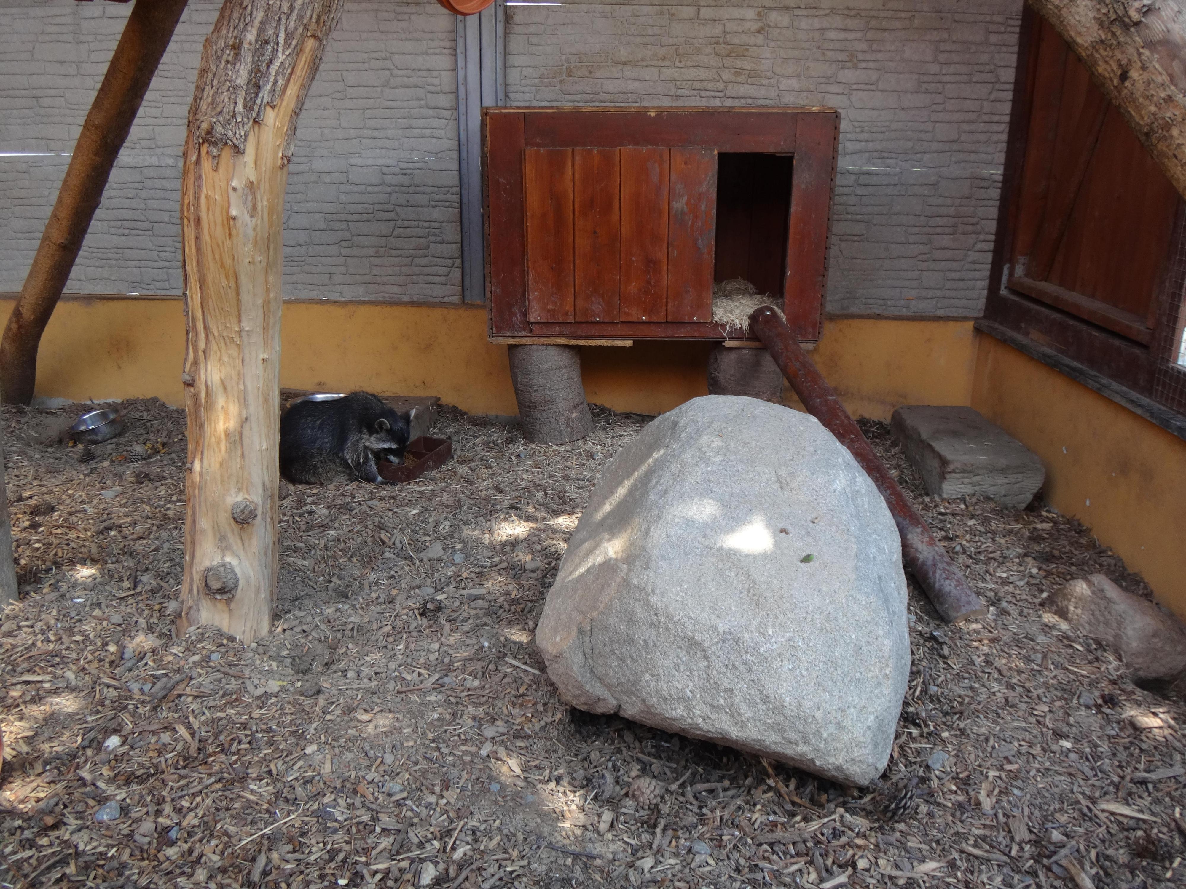 Dřevěná Exotika na ranči Bítovany foto 5