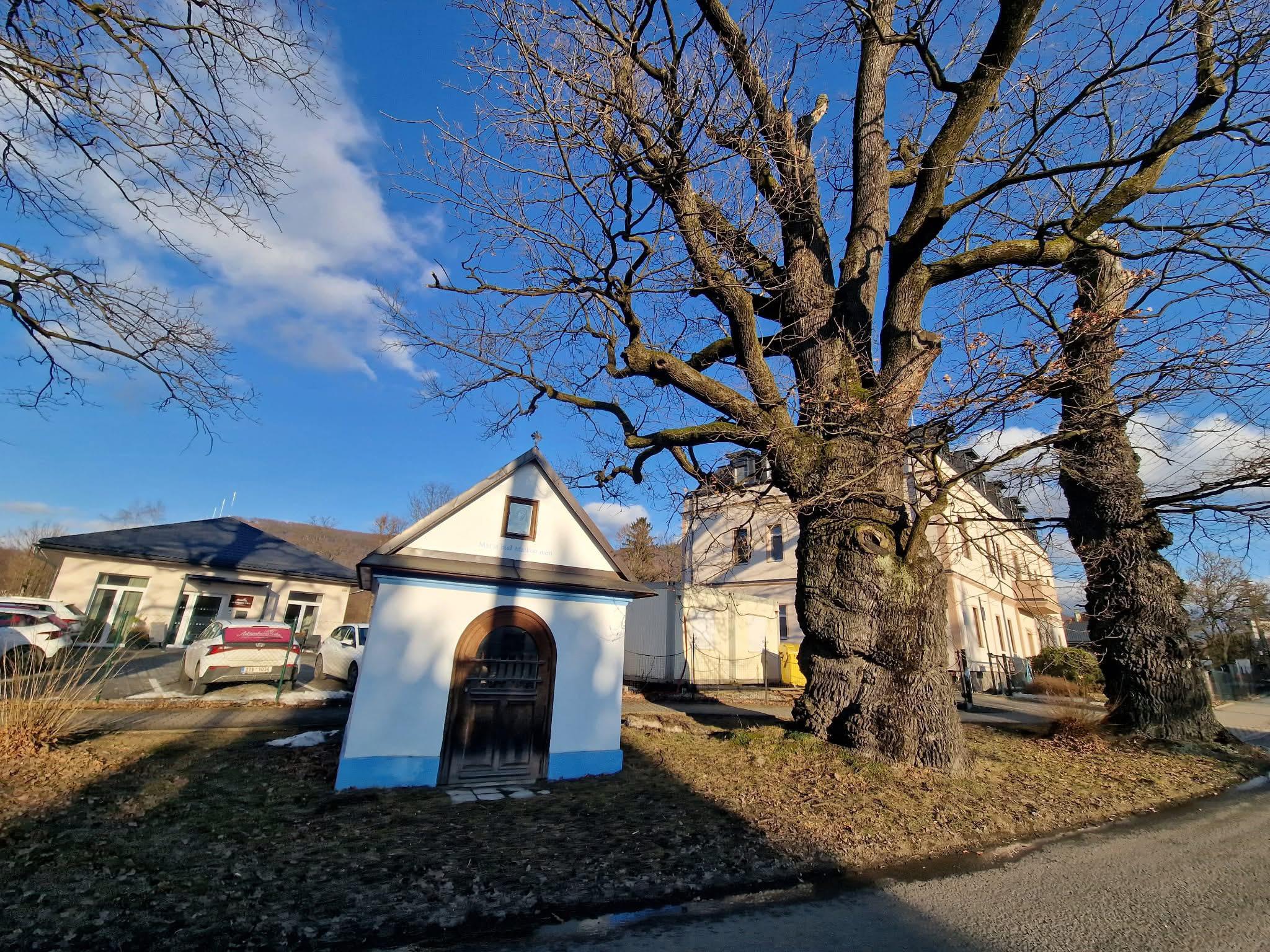 Adámkova vila, Domov se zvláštním režimem, z. ú. foto 1
