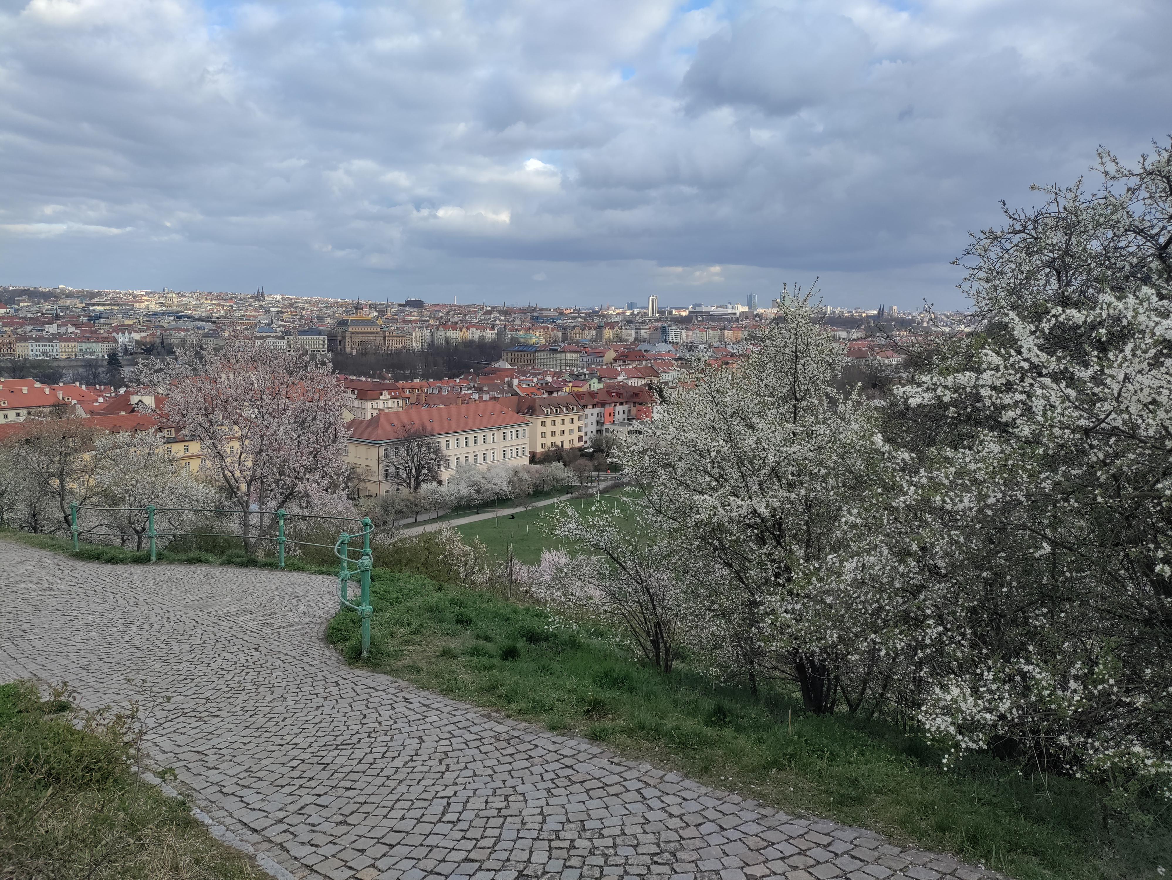 Střední průmyslová škola grafická, Praha 1, Hellichova 22 foto 2