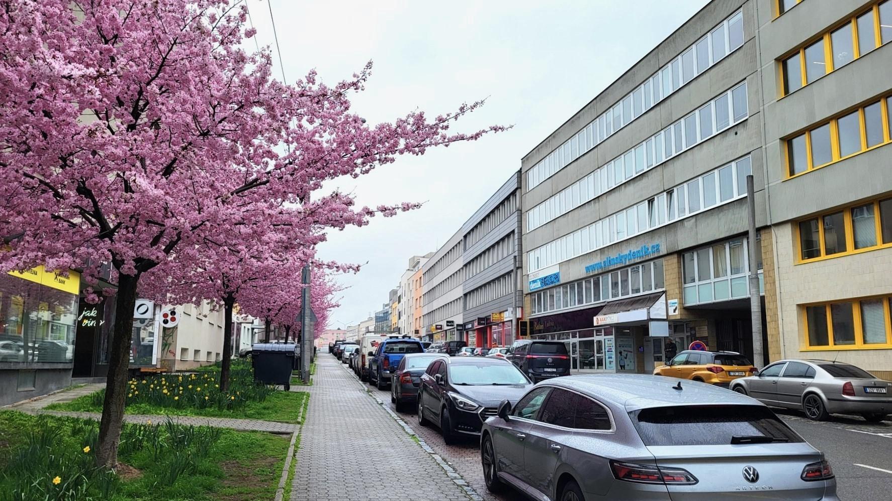 Zlínský deník foto 3