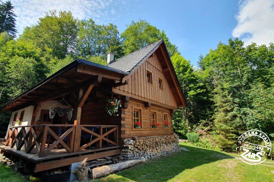 Dovolená se psem bez omezení