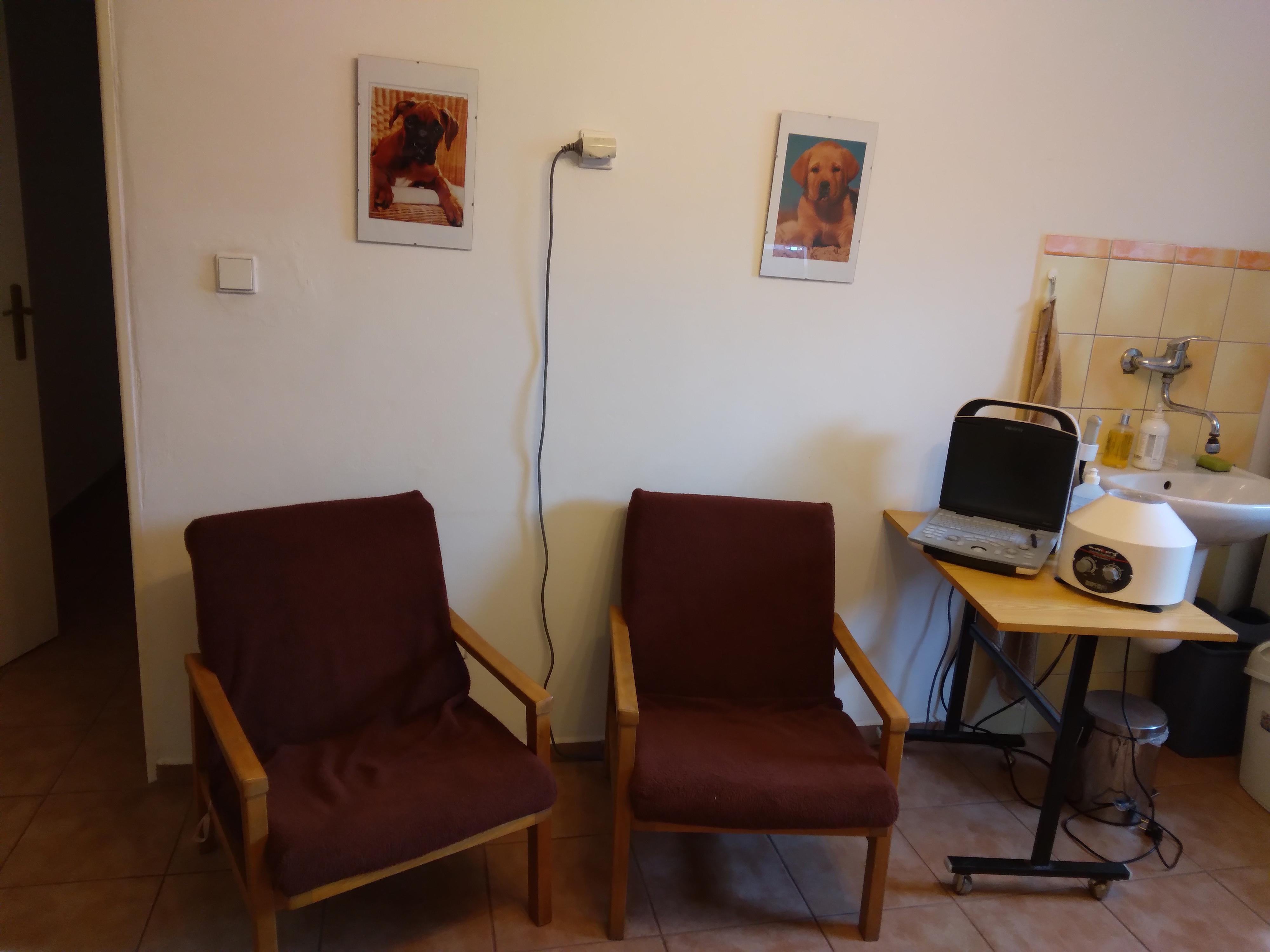 Veterina Sezemice - MVDr. Pavla Marešová foto 3