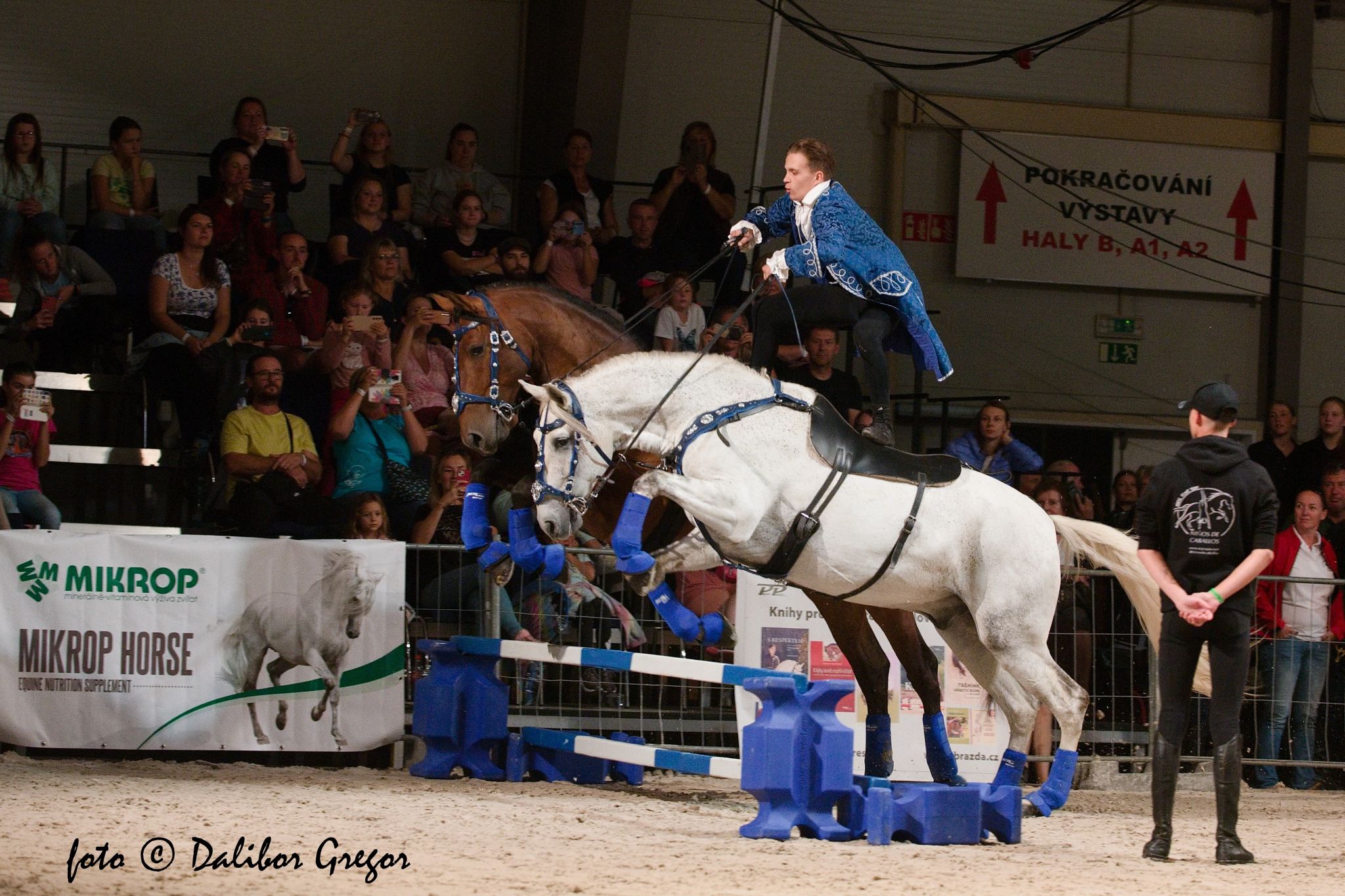 Výstaviště Lysá nad Labem spol. s.r.o. foto 4
