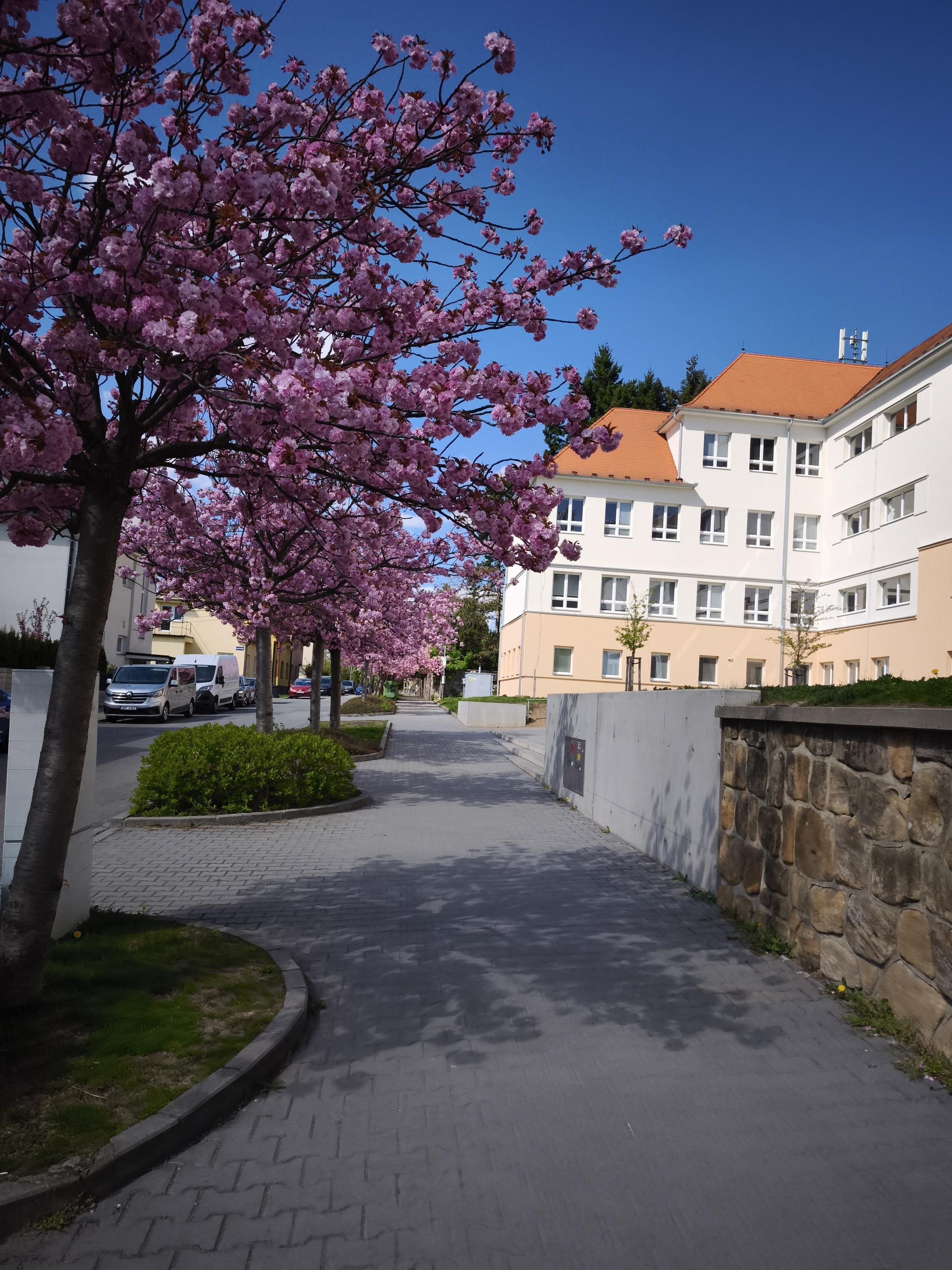 ZŠ TGM Blansko, Rodkovského foto 5