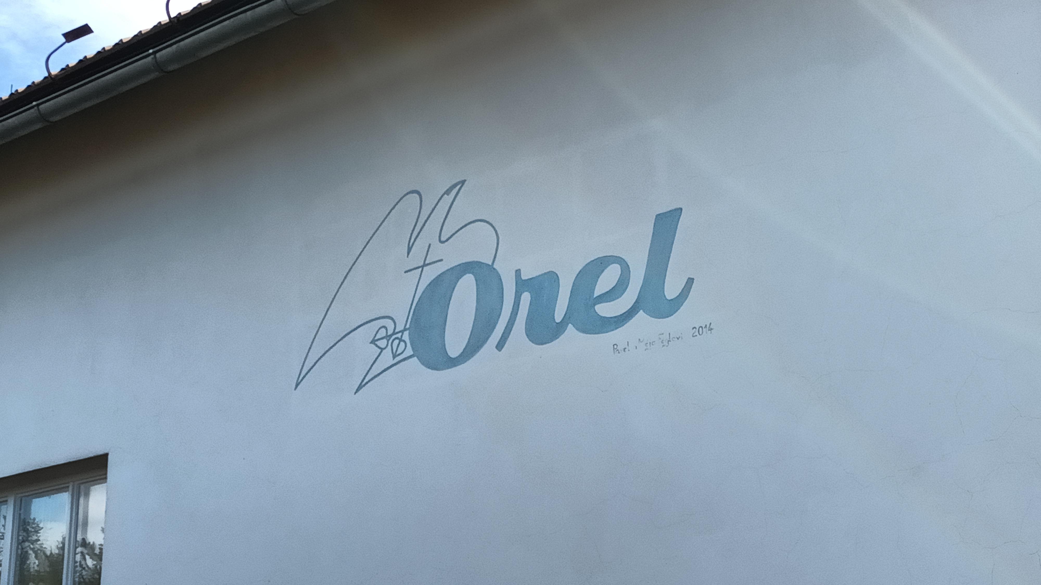 Orel jednota Lukavice foto 2