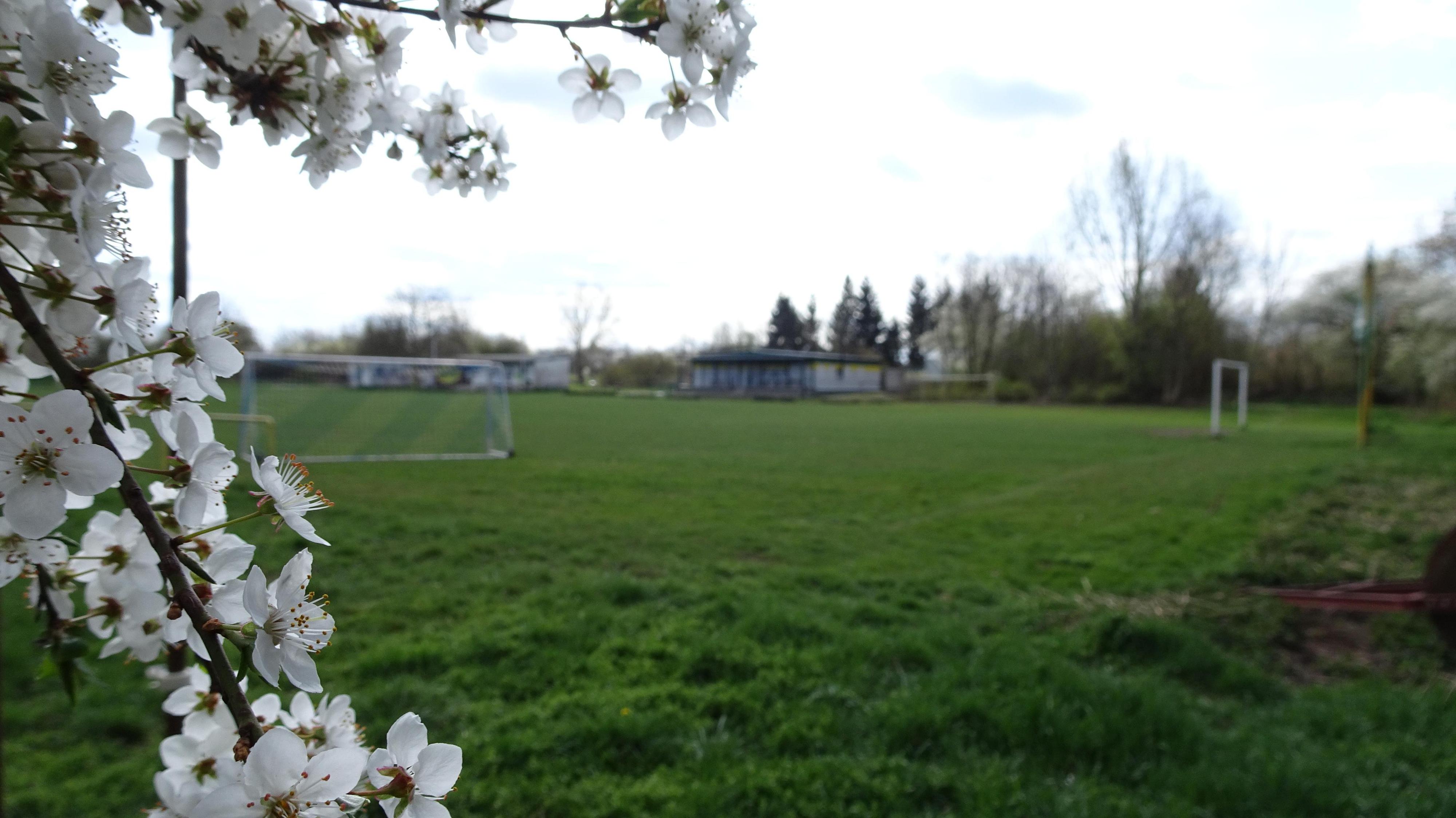 Fotbalové hřiště Drahelice foto 6