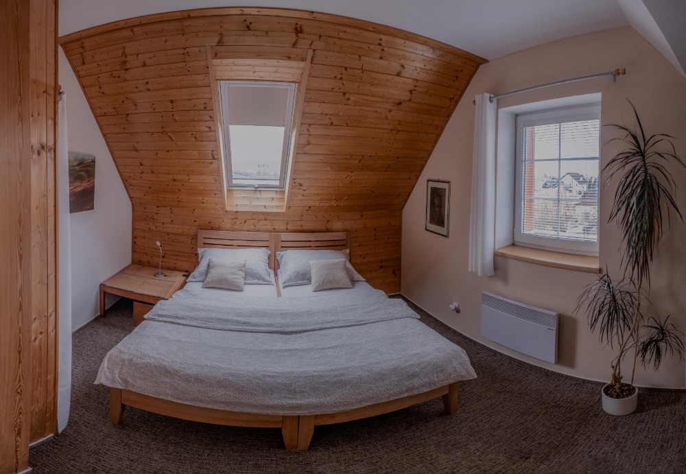 Pension Podlesí foto 5