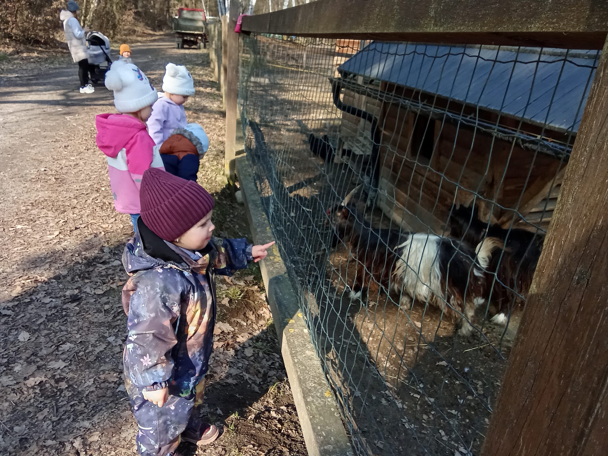 Školka Skřítek foto 3