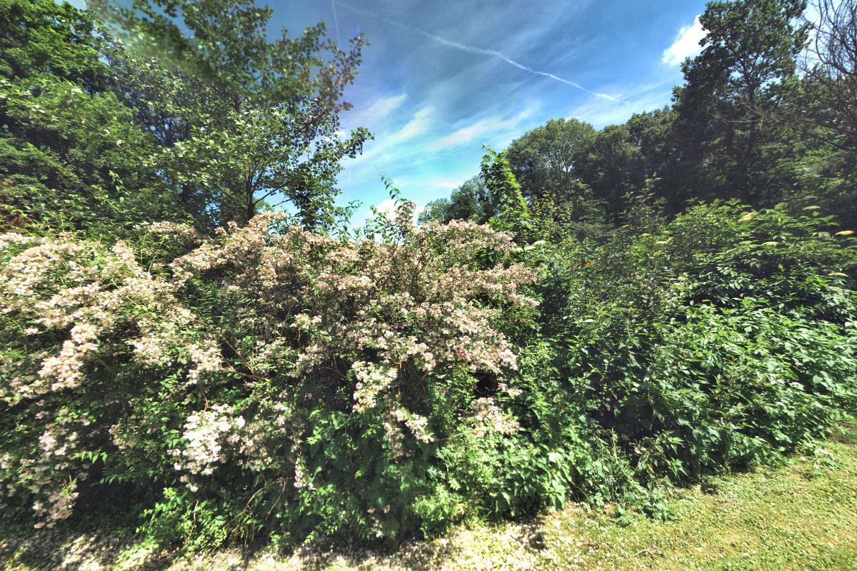 Tenis Velké Hoštice foto 1