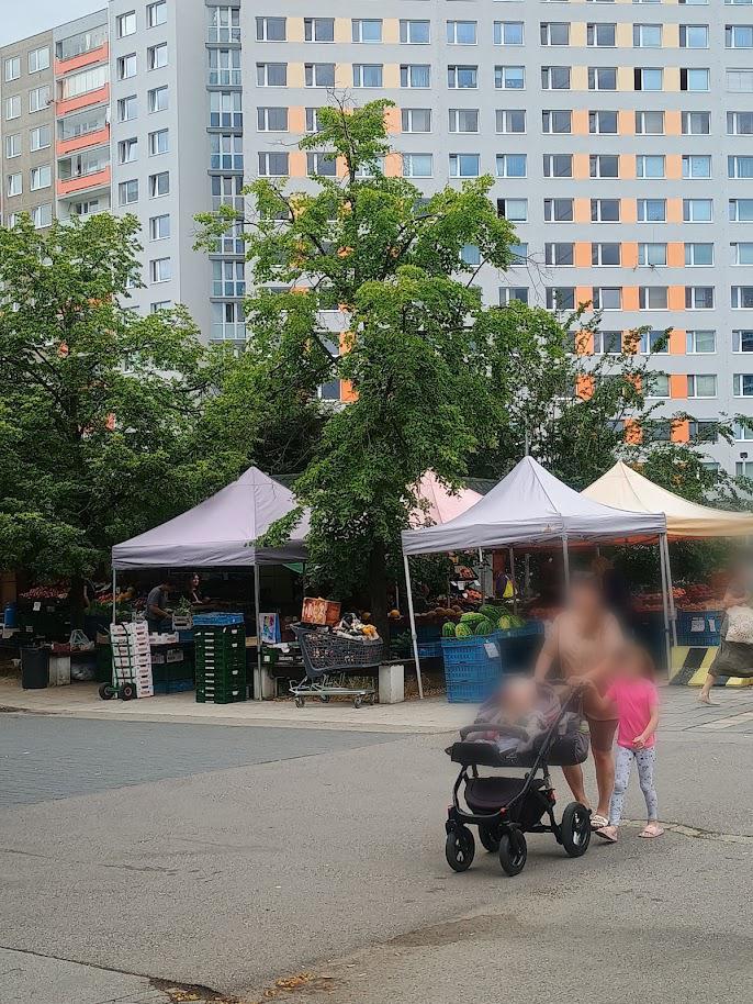 Ovoce zelenina Malý foto 2